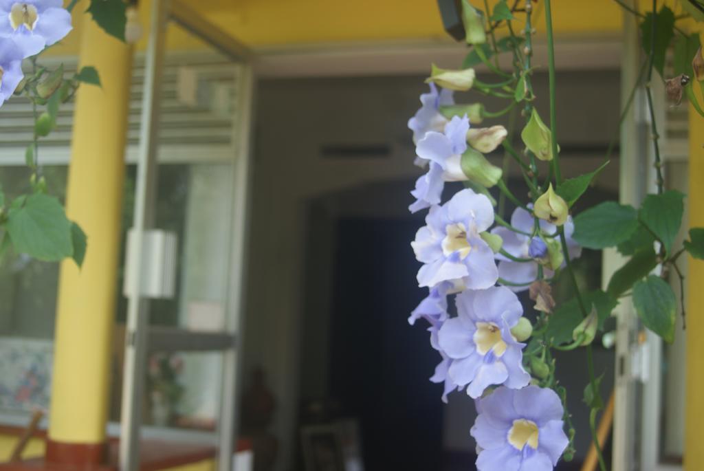 Ananda Home Stay And Restaurant Tangalle Eksteriør billede